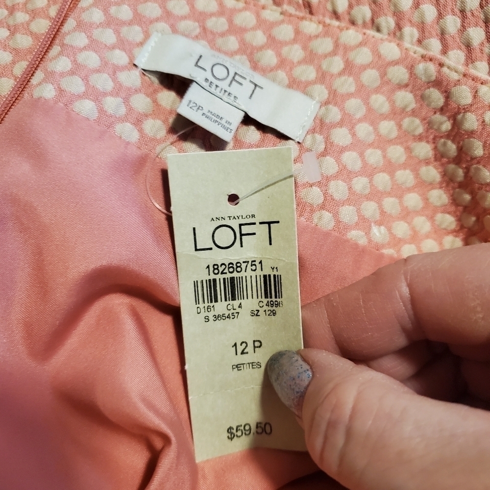 NWT Ann Taylor LOFT PINK & OFF WHITE POLKA DOT SKIRT SIZE 12P, Retail $59.50 - Picture 7 of 7